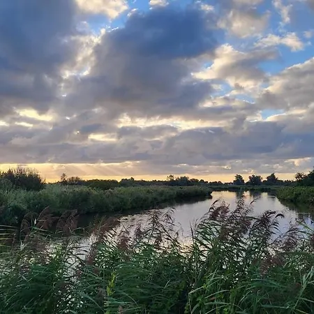 Tiny House, Close To Amsterdam And Zaanse Schans *