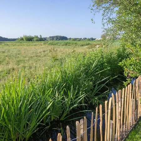 Tiny House, Close To Amsterdam And Zaanse Schans